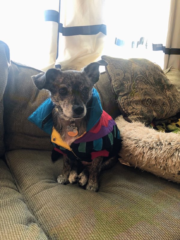 Mabel!