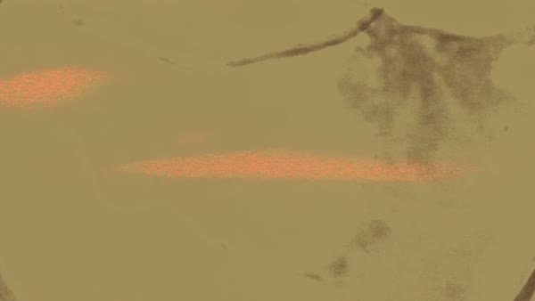 VJ clip