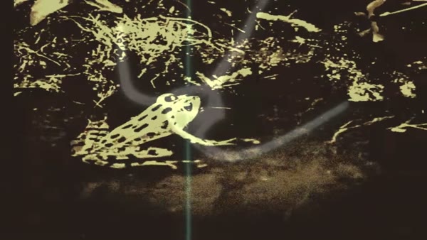 VJ clip